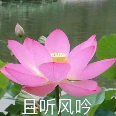 闯中国使馆的日本自卫队人员已被捕