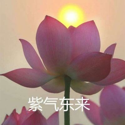 168彩票娱乐下载app/手机app下载全新版